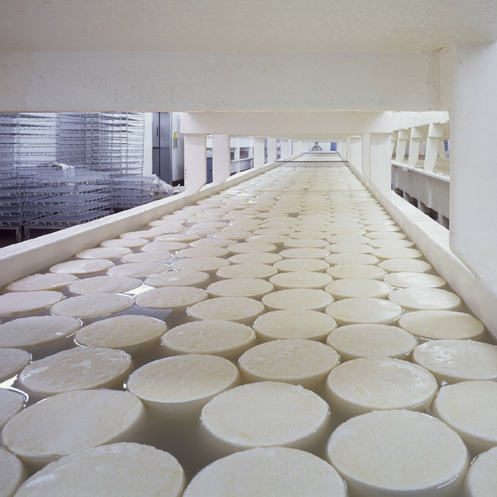 Toma de muestras para elaboración de productos curados.